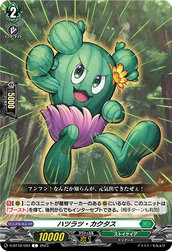 Spry Cactus