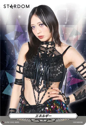 Energy D-PR/1243