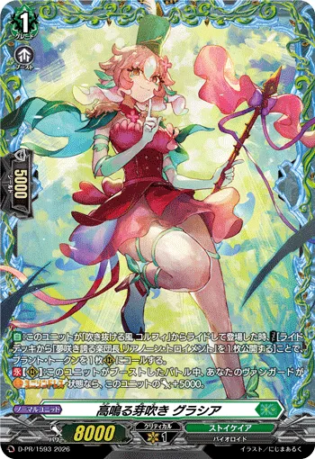 Budding Sensation, Gracia D-PR/1593
