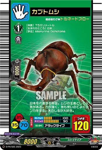 カブトムシ D-PR/565