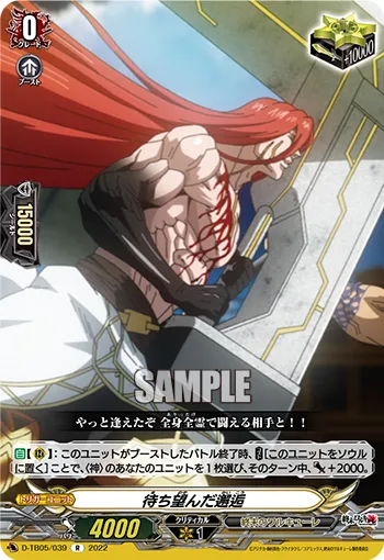 The Long-Awaited Encounter (God) D-TB05/039