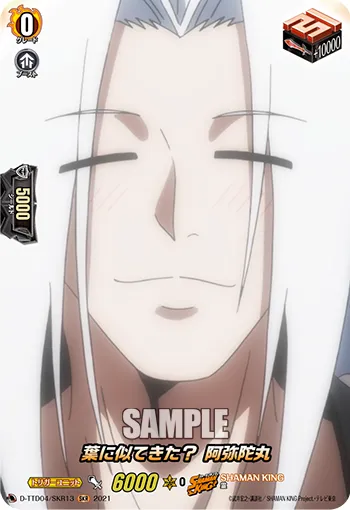 Looking Similar to Yoh? Amidamaru D-TTD04/SKR13