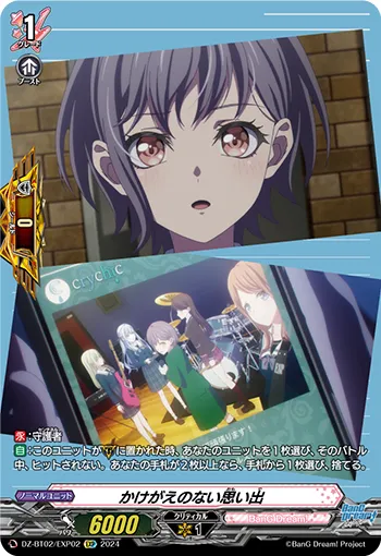 Irreplaceable Memories DZ-BT02/EXP02