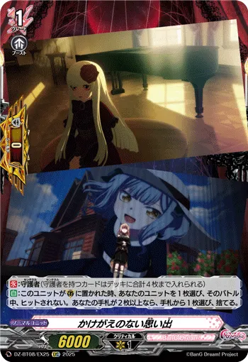 Irreplaceable Memories DZ-BT08/EX25