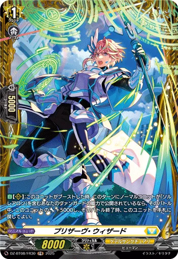 Preserve Wizard DZ-BT08/FR30