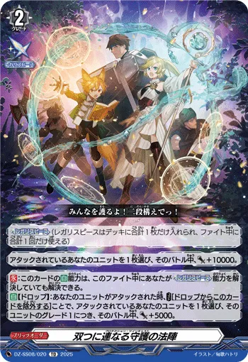 Protection: Twincast DZ-SS08/020