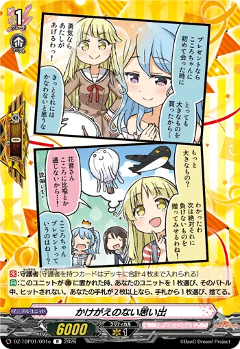 Irreplaceable Memories DZ-TBP01/091e